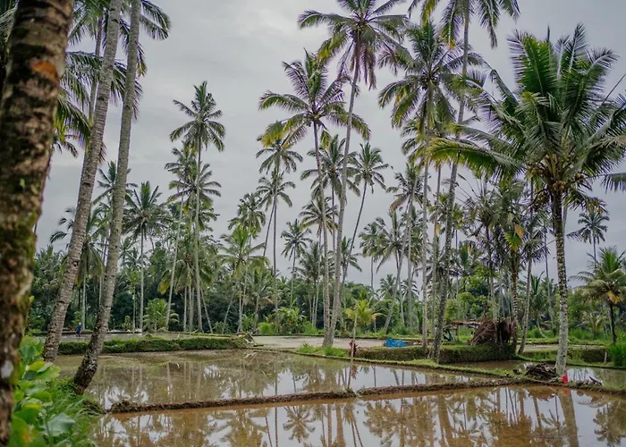 Uma Harum Sari Tampaksiring