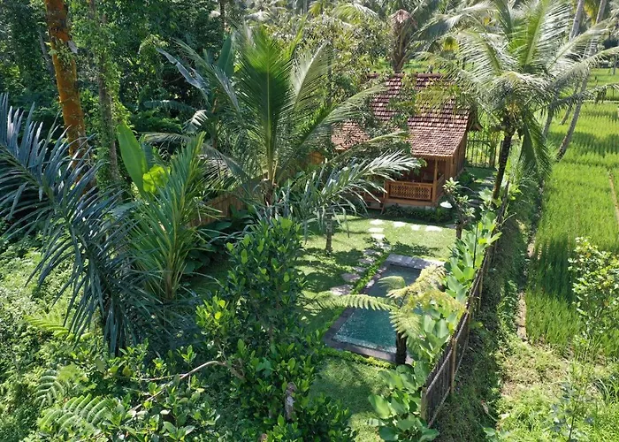 Bed & Breakfast Uma Harum Sari 4*